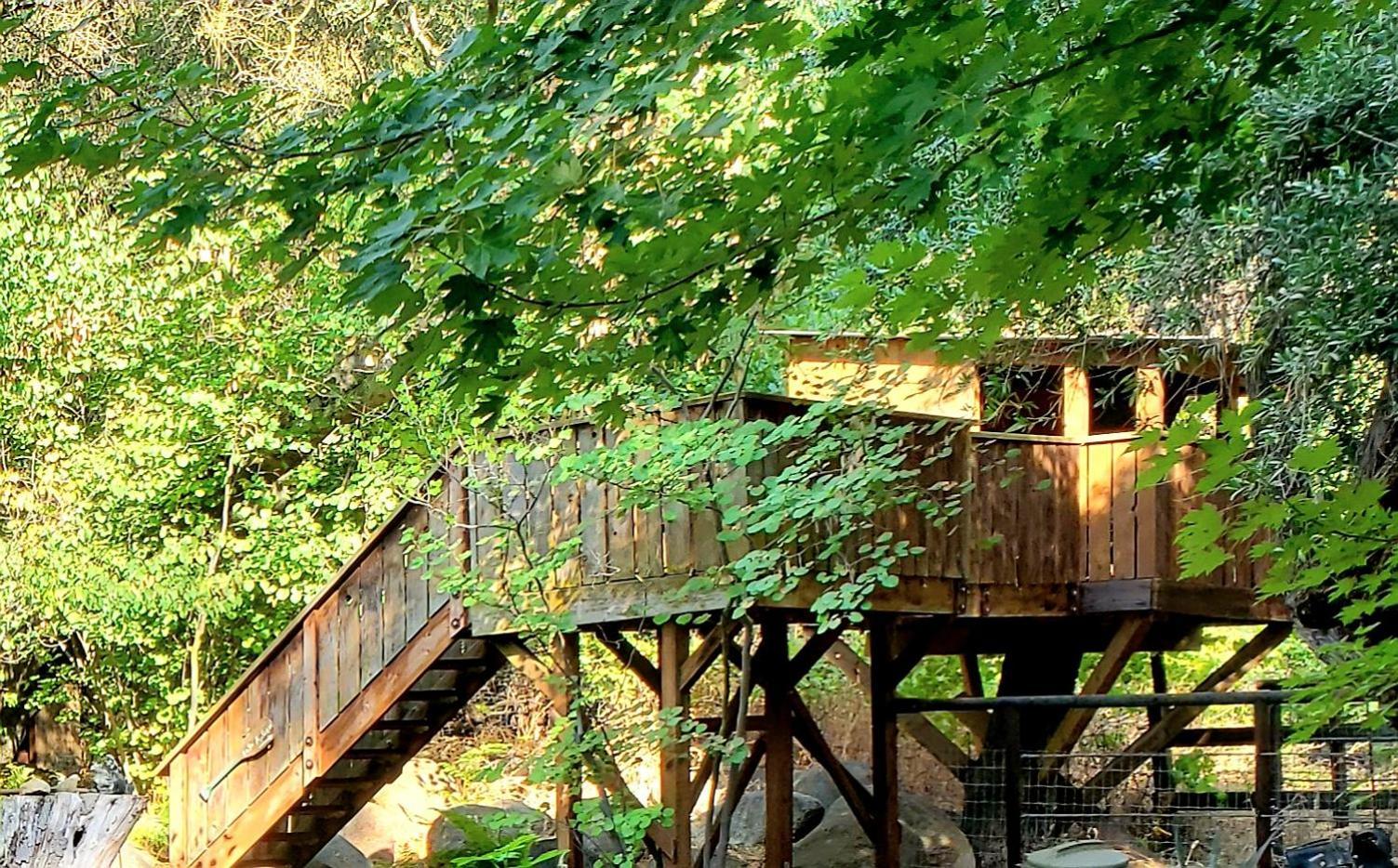 Magical River House ! 10 Min To Snp Park Entrance Three Rivers Exteriör bild